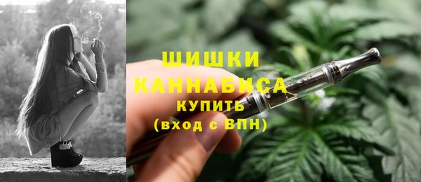 молекула духа Лихославль