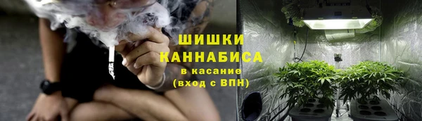 хмурый Лиски