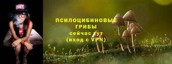 хмурый Лиски