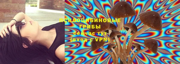 хмурый Лиски