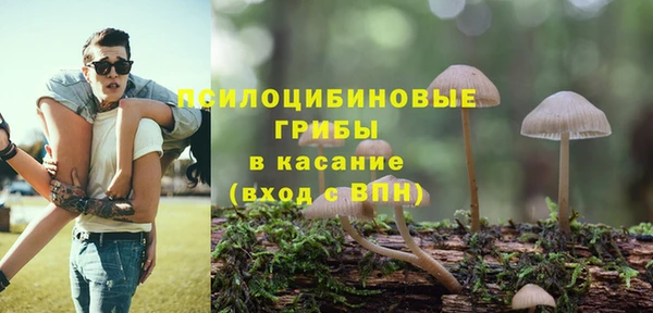 соль курить ск Липки