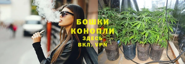 молекула духа Лихославль