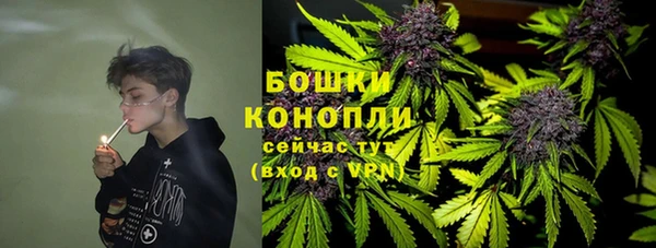 хмурый Лиски