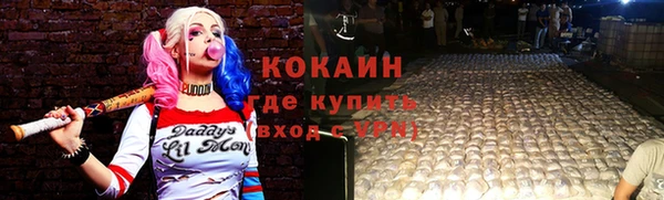 хмурый Лиски