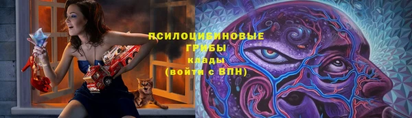 молекула духа Лихославль