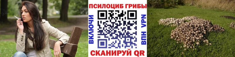 Галлюциногенные грибы мицелий  где купить наркоту  Тавда 